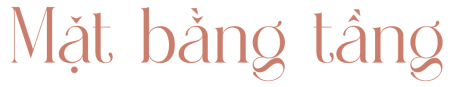 mb-tang