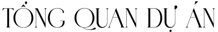 tong-quan-du-an